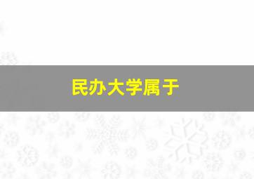 民办大学属于