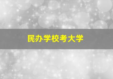 民办学校考大学