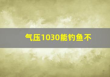 气压1030能钓鱼不