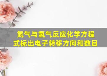 氮气与氢气反应化学方程式标出电子转移方向和数目