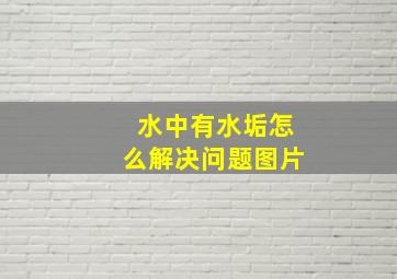 水中有水垢怎么解决问题图片