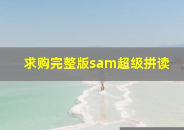 求购完整版sam超级拼读