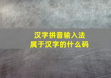 汉字拼音输入法属于汉字的什么码