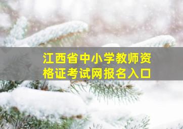 江西省中小学教师资格证考试网报名入口