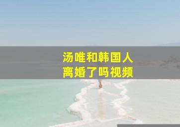 汤唯和韩国人离婚了吗视频