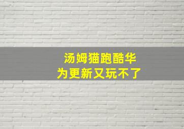 汤姆猫跑酷华为更新又玩不了