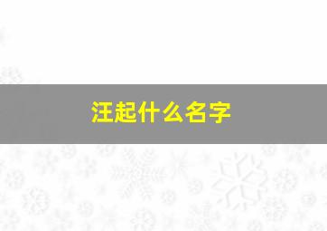 汪起什么名字