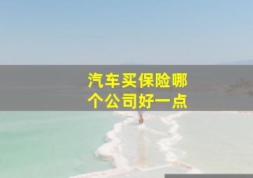 汽车买保险哪个公司好一点