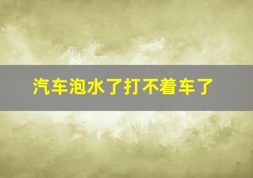 汽车泡水了打不着车了