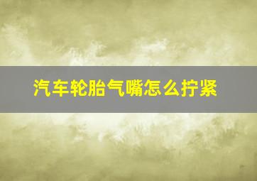 汽车轮胎气嘴怎么拧紧