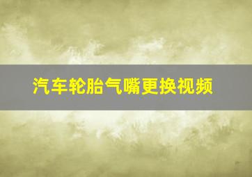 汽车轮胎气嘴更换视频