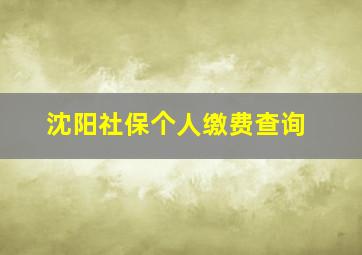 沈阳社保个人缴费查询