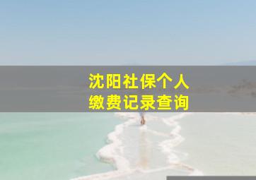 沈阳社保个人缴费记录查询