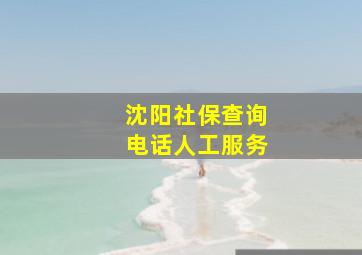 沈阳社保查询电话人工服务