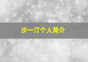 沙一汀个人简介