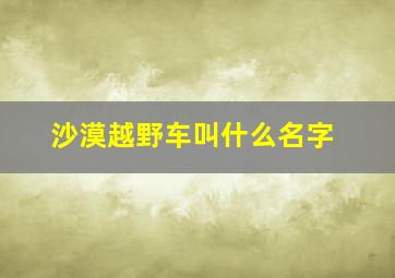 沙漠越野车叫什么名字