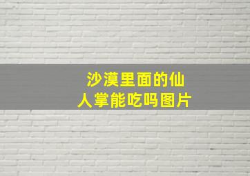 沙漠里面的仙人掌能吃吗图片