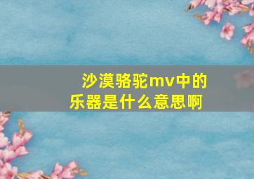 沙漠骆驼mv中的乐器是什么意思啊