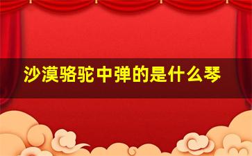 沙漠骆驼中弹的是什么琴