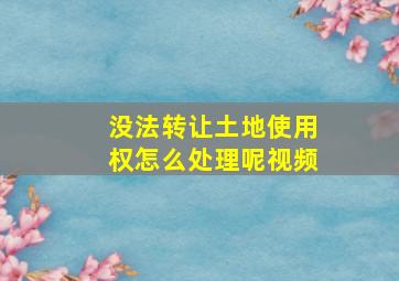 没法转让土地使用权怎么处理呢视频