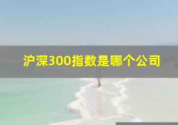 沪深300指数是哪个公司