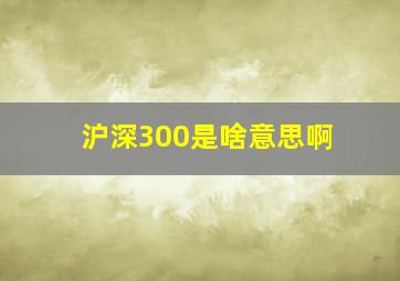 沪深300是啥意思啊