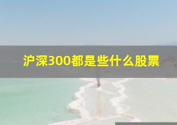 沪深300都是些什么股票