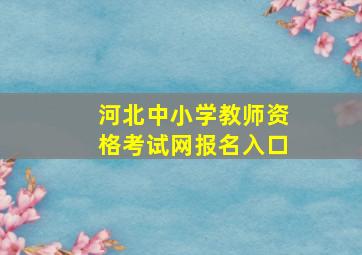 河北中小学教师资格考试网报名入口