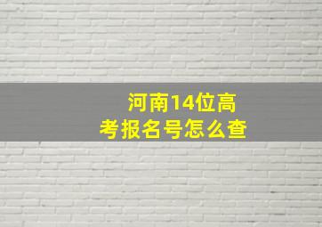 河南14位高考报名号怎么查