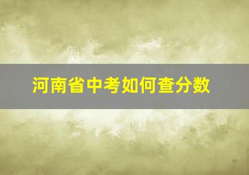 河南省中考如何查分数