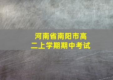 河南省南阳市高二上学期期中考试