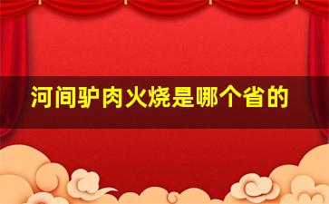 河间驴肉火烧是哪个省的