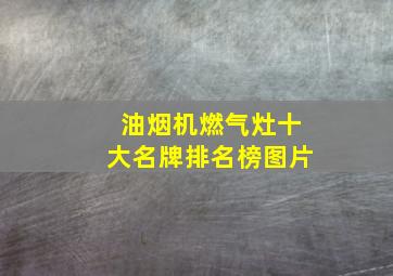 油烟机燃气灶十大名牌排名榜图片