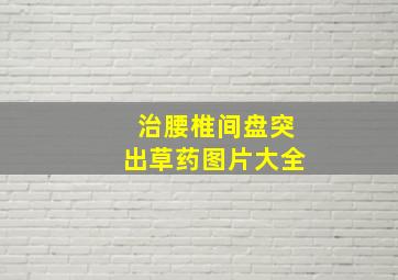 治腰椎间盘突出草药图片大全