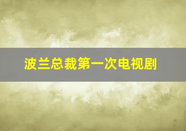 波兰总裁第一次电视剧