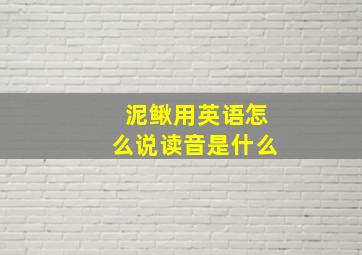 泥鳅用英语怎么说读音是什么