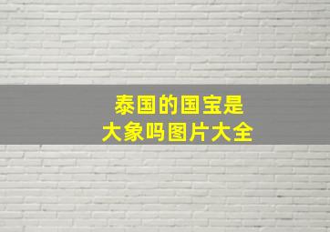 泰国的国宝是大象吗图片大全