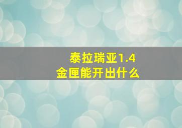 泰拉瑞亚1.4金匣能开出什么