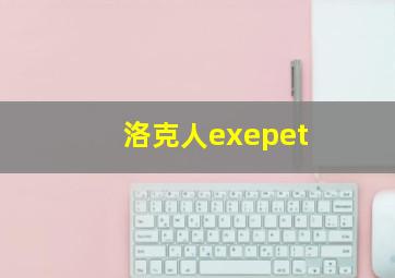 洛克人exepet