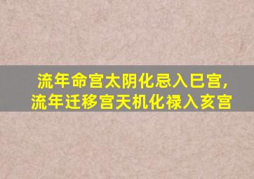 流年命宫太阴化忌入巳宫,流年迁移宫天机化禄入亥宫