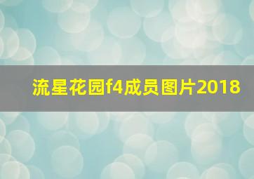 流星花园f4成员图片2018