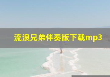 流浪兄弟伴奏版下载mp3