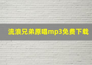 流浪兄弟原唱mp3免费下载