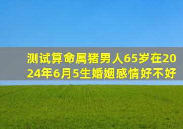 测试算命属猪男人65岁在2024年6月5生婚姻感情好不好