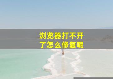 浏览器打不开了怎么修复呢