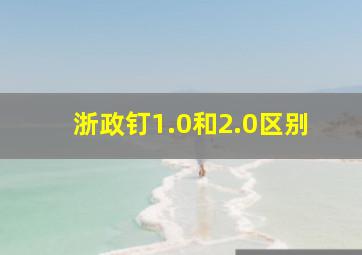 浙政钉1.0和2.0区别