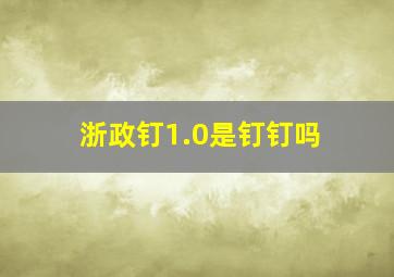 浙政钉1.0是钉钉吗