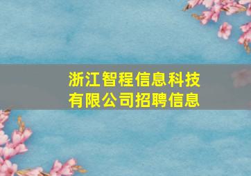 浙江智程信息科技有限公司招聘信息