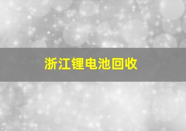 浙江锂电池回收