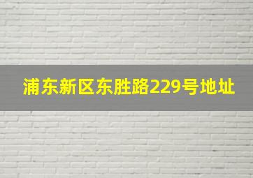 浦东新区东胜路229号地址